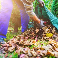 Yard Waste Removal